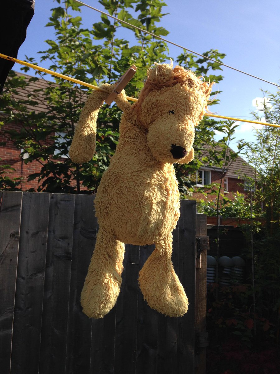 Ranimationnotes's tweet photo. @StPeterVillage This is Leo, lost between Orchard Grove and CSP infant school Wed at 9am.  Please retweet! http://t.co/UqZ9wp3cmS