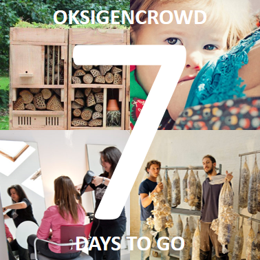 oksigenlab's tweet photo. OksigenCrowd countdown: 7 days left for the social enterprises on #oksigencrowd! Support them! #socent #crowdfunding http://t.co/al99ALMk2S