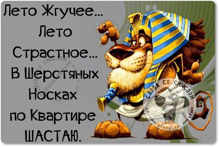 Картинки лето будет или нет
