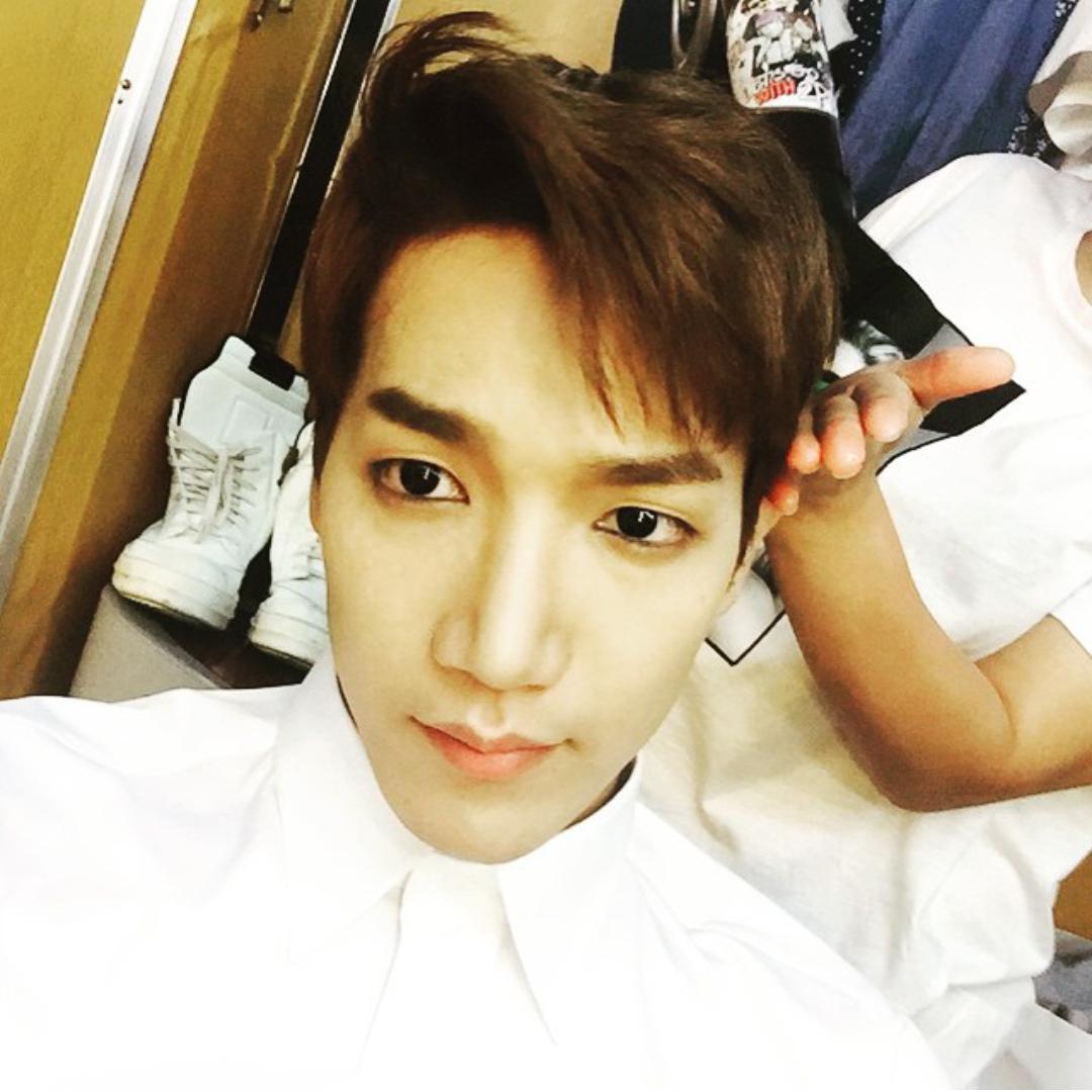 埋め込み画像への固定リンク