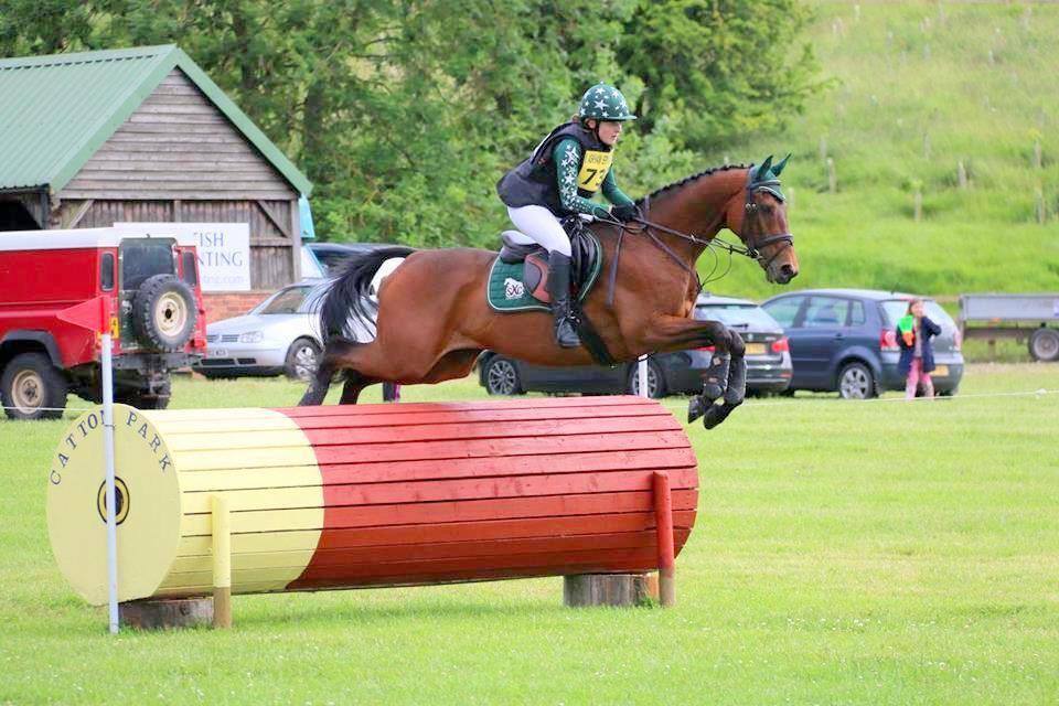 Polly_Chiverton's tweet photo. Lynx clear around another tough Intermediate course. Unlucky pole in the triple but he makes them feel tiny! http://t.co/WljdjfQTjp