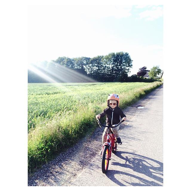 egghelmets's tweet photo. Cruising :D
#EGGhelmets #EGGhelmet #Dante #Horns http://t.co/a1xPNhhxgi