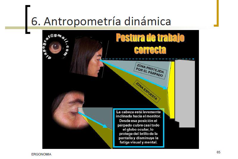 aledarara's tweet photo. Mis apuntes de DISEÑO me dan MIEDO #meobservan #paraquequitarelsitiopanchitodedondelohansacado #enfin http://t.co/JswmmAcTec
