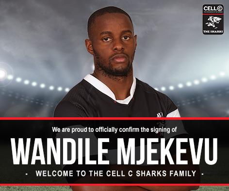 The Sharks tweet media