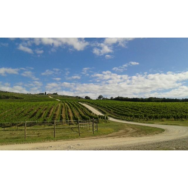 tuscanygram's tweet photo. Non male come inizio di giornata… ♥

#Paesaggi #Landscape #Campagna #CountrySide #Fizzano … http://t.co/EsmSWWh0uT http://t.co/fccCAWJHzN