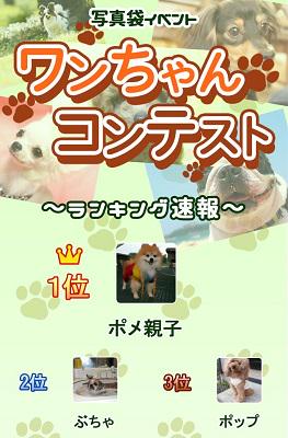 写真袋 公式 Photobag In Twitter 写真袋 公式 Photobag In Twitter