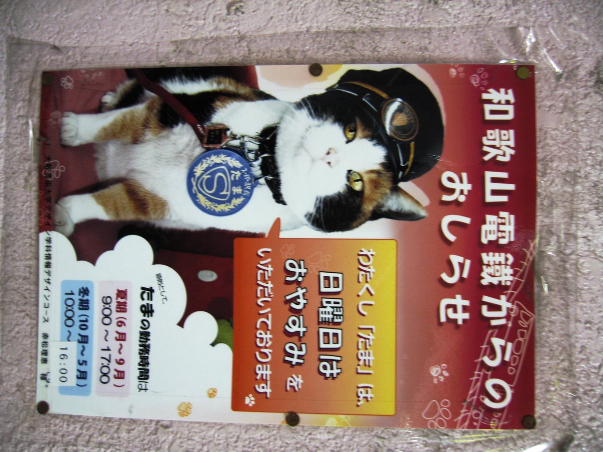 追悼 思い出画像で偲ぶ たま駅長 そして二代目駅長ニタマさんはこんなお方 6 28追記 Togetter 追悼 思い出画像で偲ぶ たま駅長 そして二代目駅長ニタマさんはこんなお方 6 28追記 Togetter
