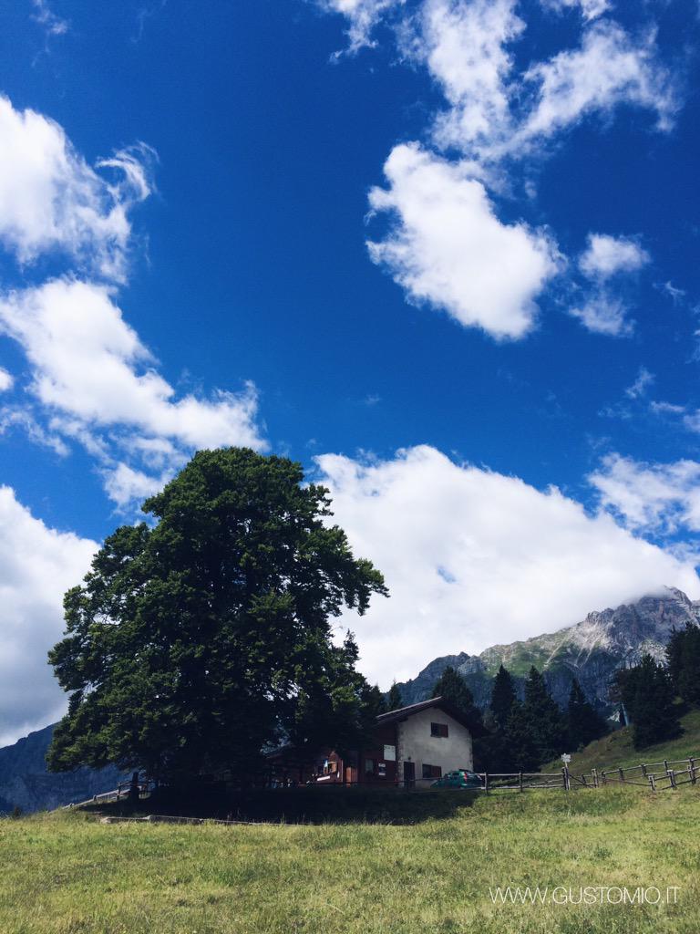 vuance's tweet photo. D'estate le #Dolomiti di #Brenta sono ancor più belle ❤️ #Trentino #Paganella #dolomitipaganella #Molveno #молвено http://t.co/qEu0n51YW3