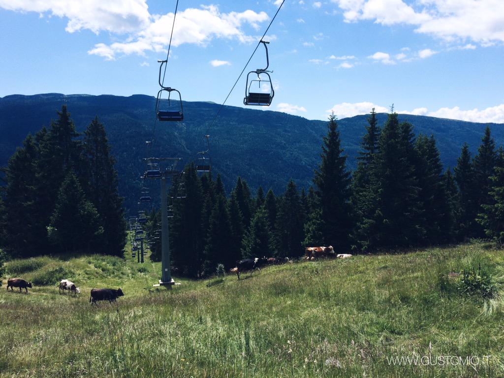 vuance's tweet photo. D'estate le #Dolomiti di #Brenta sono ancor più belle ❤️ #Trentino #Paganella #dolomitipaganella #Molveno #молвено http://t.co/qEu0n51YW3