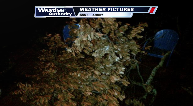 Check out the lightning and tree limbs blown down during last night's t'storms. Pics from <a href="/NMSCAS/">North MS Storm Chasers 🌪🇺🇸</a> <a href="/phillipnoe1/">Scott Noe</a> #MSwx