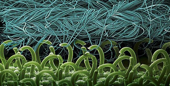 El velcro visto al microscopio.