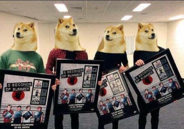 ef63bc422d67455's tweet photo. #dogefamily http://t.co/WNooAK4en3