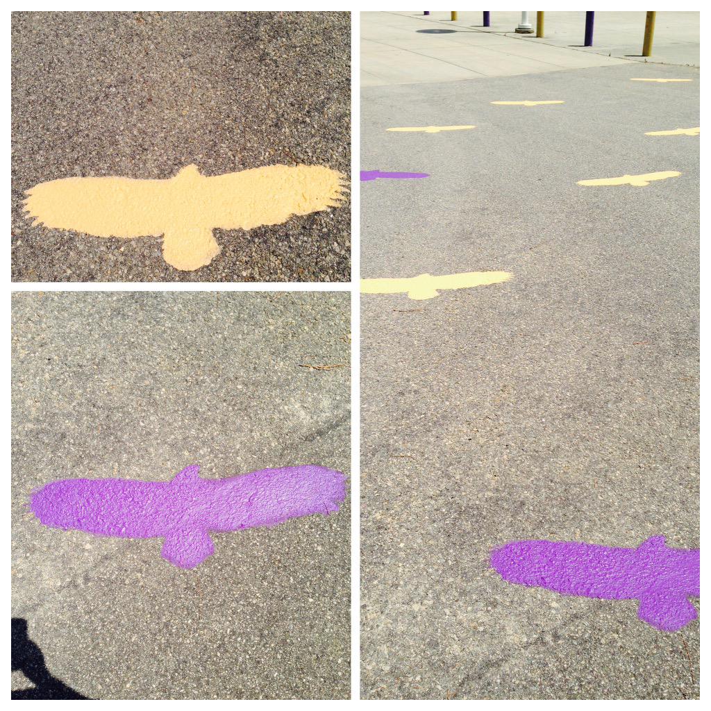 Holly Springs Cheer tweet media