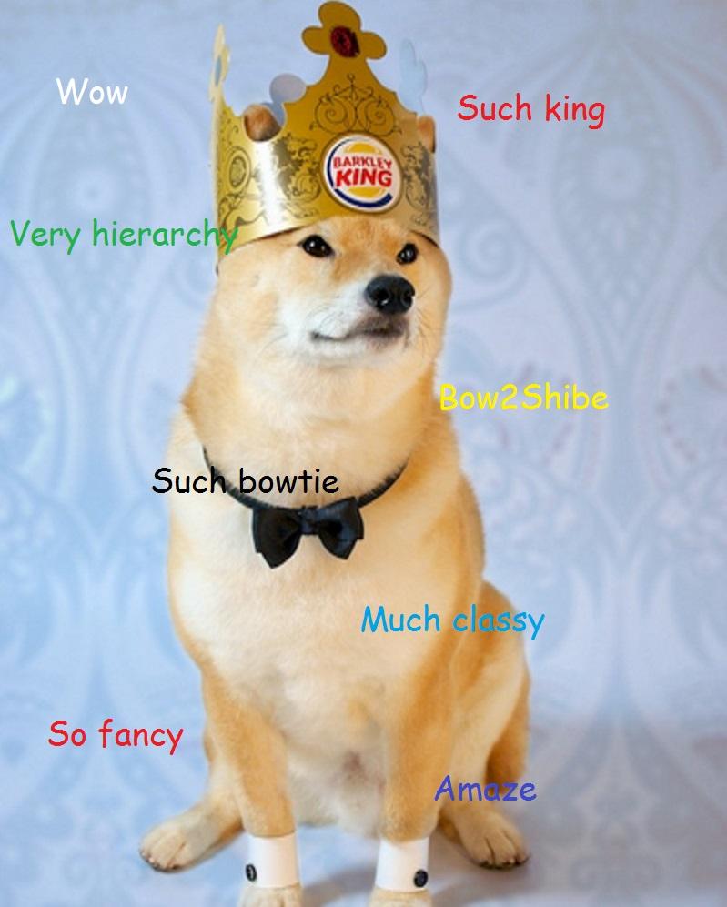 doge_sos's tweet photo. Such king is I. Very royalty http://t.co/BfMLceSvgF