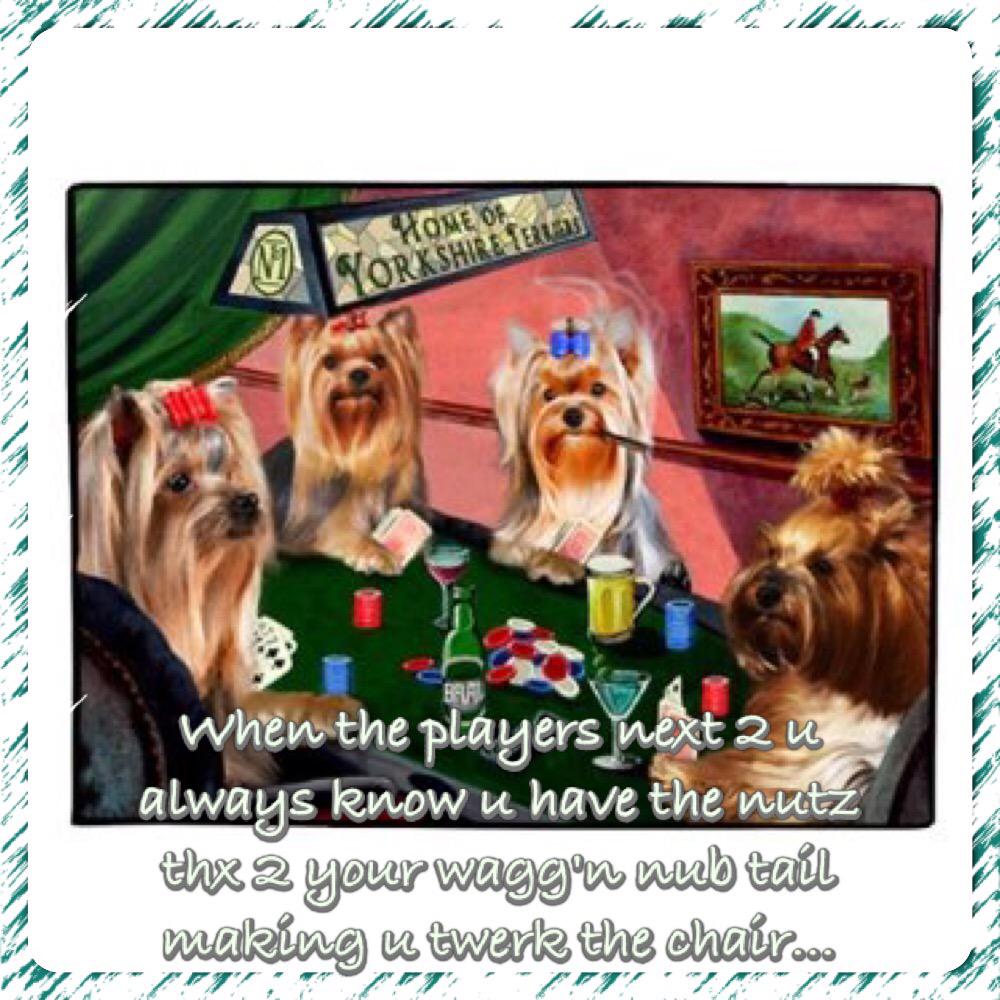 A4TStarJP's tweet photo. #WSOP #WSOP2015 #TellTail 🐾 http://t.co/s0mVZ0RUJr