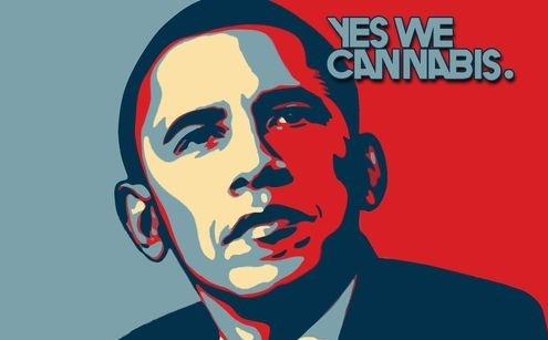 420 Interactive tweet media