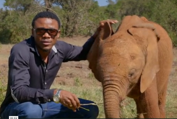 EleRhinoMarch's tweet photo. Wild Aid launches major #elephant campaign in #Tanzania @WildAid #LifeNotExtinction #GMFER http://t.co/ST06aw3ipY http://t.co/L0GLxwFLFw