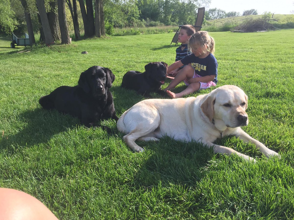 Pawswithacause's tweet photo. We love #relaxing outside with our #bestfriends! #Summer #PAWSDogs #PawsWithACause http://t.co/gdnmDfG7In