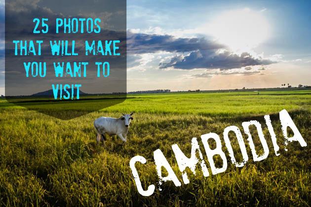 BackpackAus's tweet image. 25 photos that will make you want to visit Cambodia

dld.bz/dHFDf