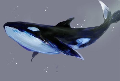 シャチのtwitterイラスト検索結果 古い順 シャチのtwitterイラスト検索結果 古い順