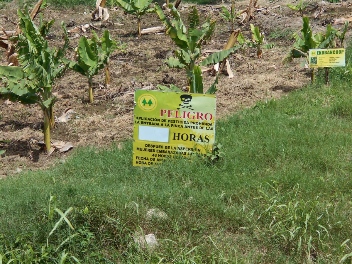 CoffeeRustCure's tweet image. pic I took in DominicanRep of a farm sign to stay away due to toxic copper fungicide its next to a stream!