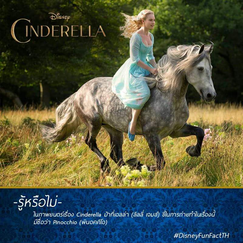 Pop_Dobby_Arch's tweet photo. ช่วง #DisneyFunFactTH
รู้หรือไม่
ในภาพยนตร์เรื่อง #Cinderella ม้าที่เอลล่า (ลิลลี่ เจมส์) ขี่ในการถ่ายทำอะไร http://t.co/EUWLPOsmJM