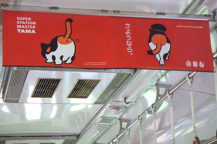 ぎ竜 着ぐるみ獣化でのネコ科ツーショットにも応じてくれた和歌山電鉄貴志駅のたま駅長がお亡くなりになった たま 電車の車吊りの さようなら とだけ言い残して去って行く後姿のイラストが物悲しく感じる T T たま駅長 Http T Co Xw3hcoraxy