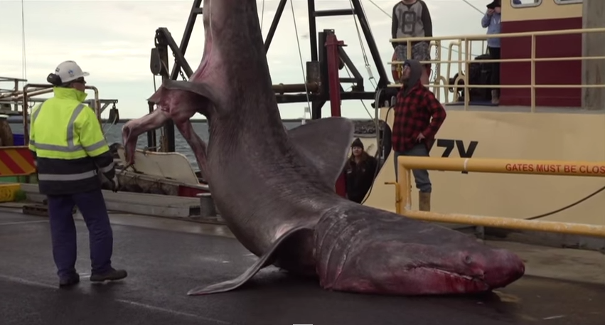 l'écolo tweet media