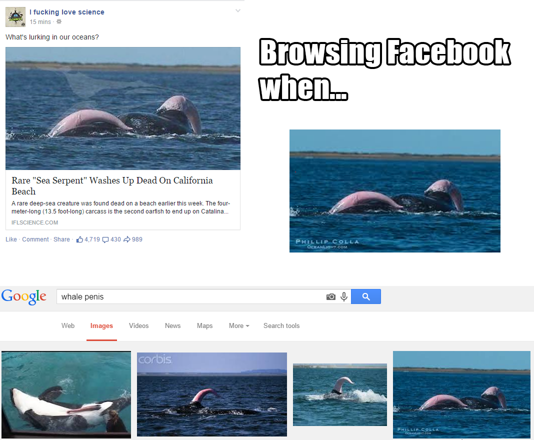 LarsGrasman's tweet photo. #socialmedia #fuckedup http://t.co/dPXzGW9aEc
