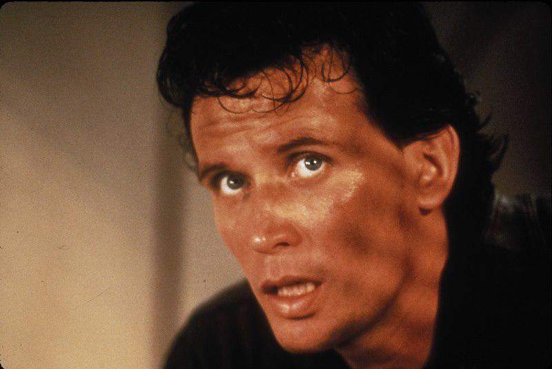 Happy birthday to Buckaroo Banzai himself, Peter Weller. 