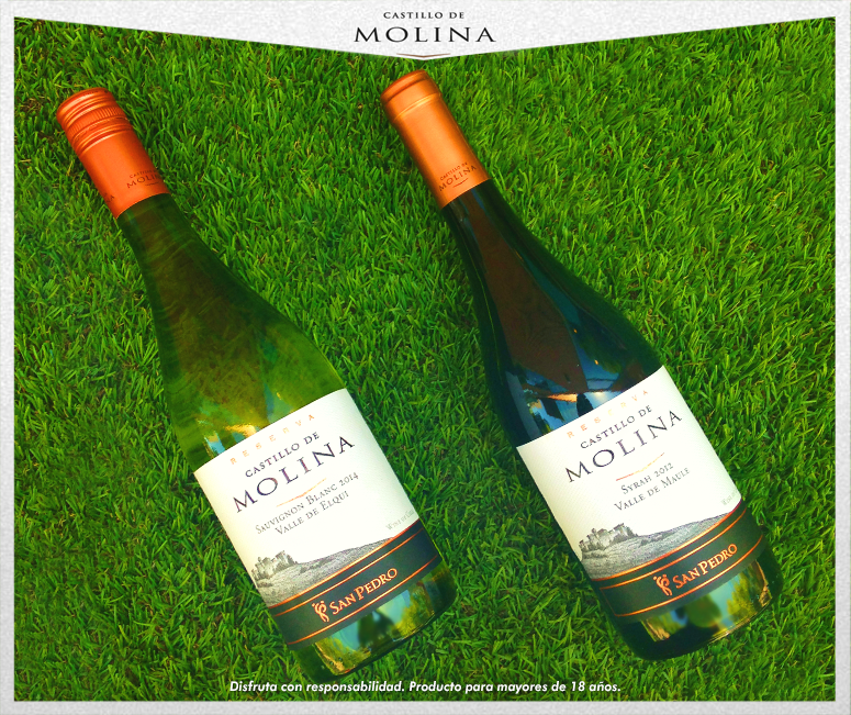 Para hoy <a href="/castillo_molina/">Castillo de Molina</a> Sauvignon Blanc del Valle del Elqui o Syrah?