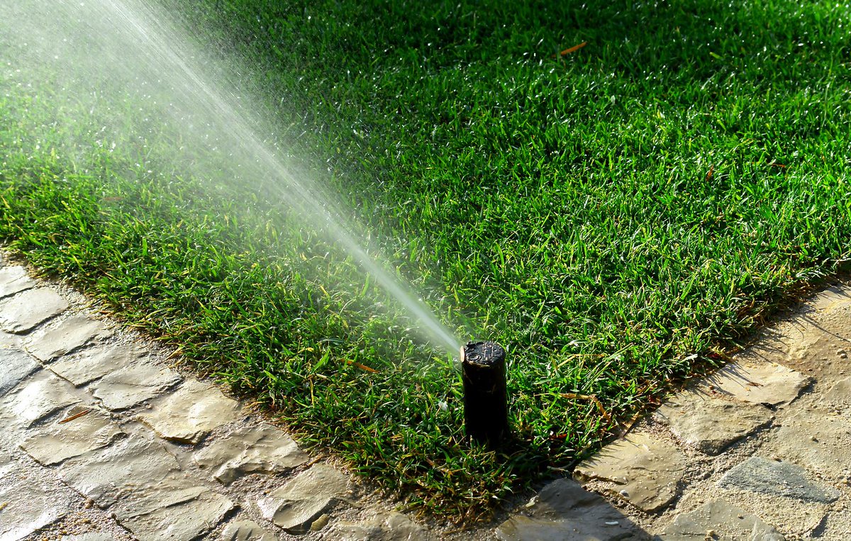 Ugradnja automatskog zalivnog sistema
#gardening
