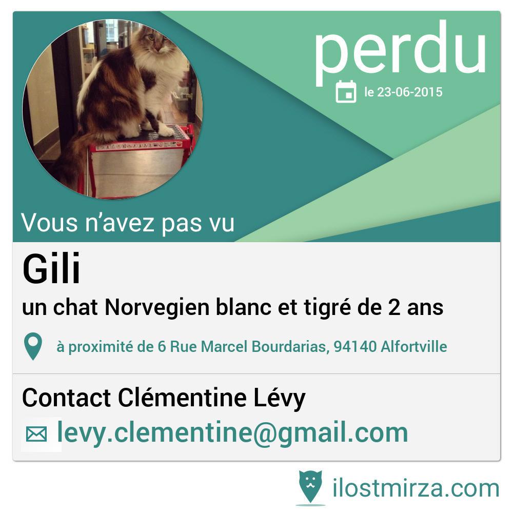 Allez un petit effort, on diffuse cette annonce pour retrouver le chat GILI ! Tous ensemble, tous ensemble !