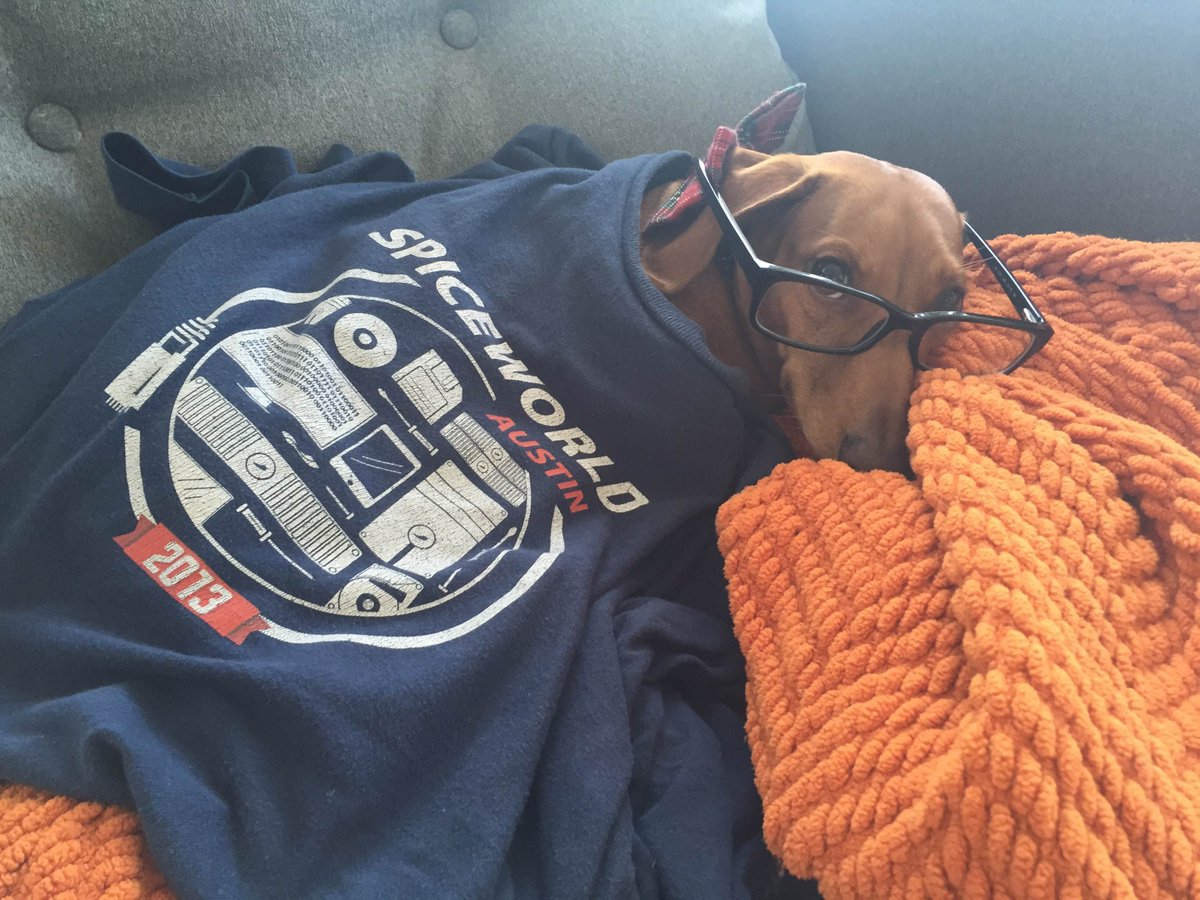 jennykordell's tweet image. .@Spiceworks Brie cannot wait for #spiceworld2015. He needs new fashionable shirts to add to his wardrobe