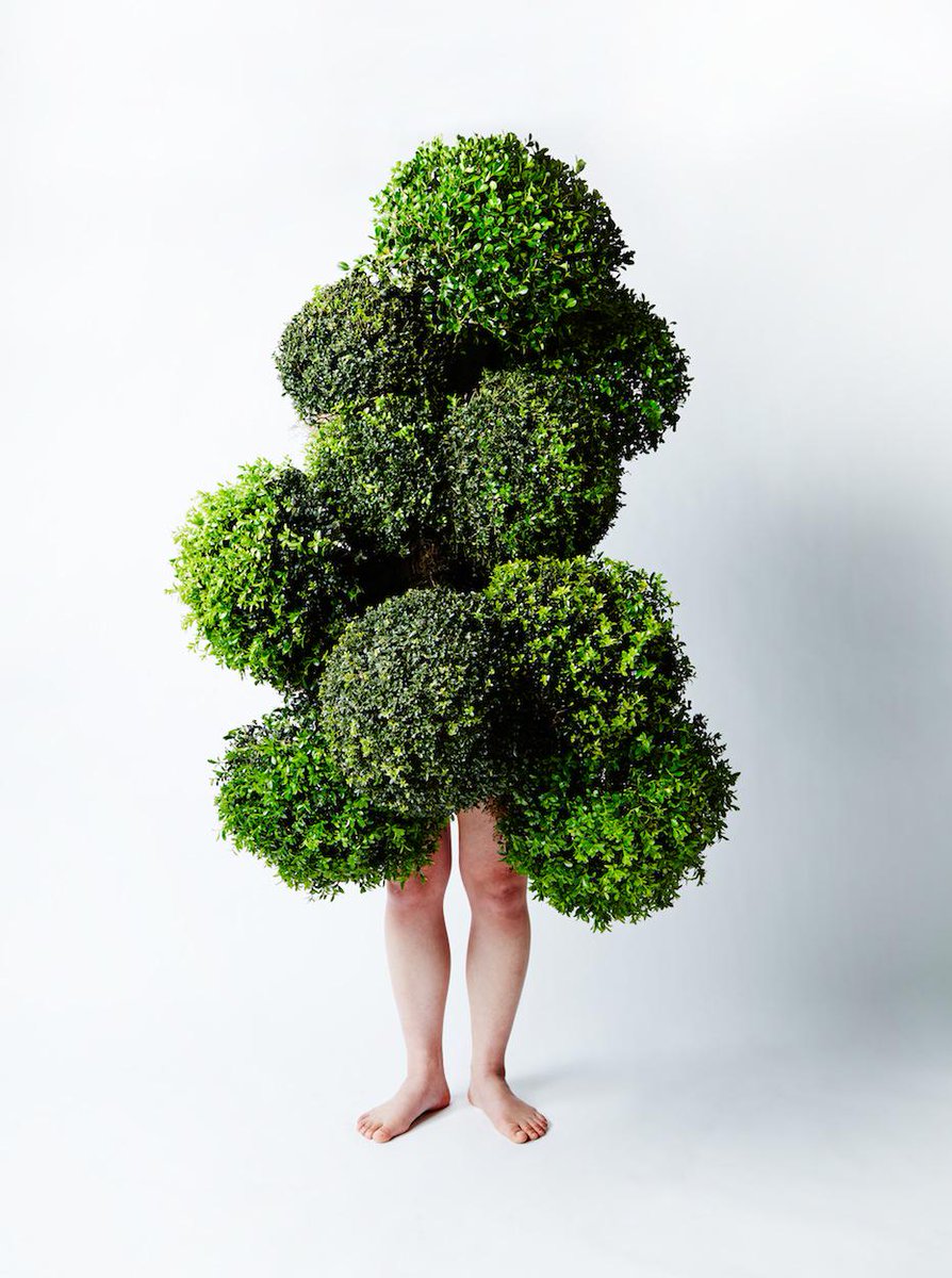 BloompopHQ's tweet photo. Today's #fridayfavorite is artist .@azumamakoto for being a literal plant person http://t.co/tiWuPX5q9e