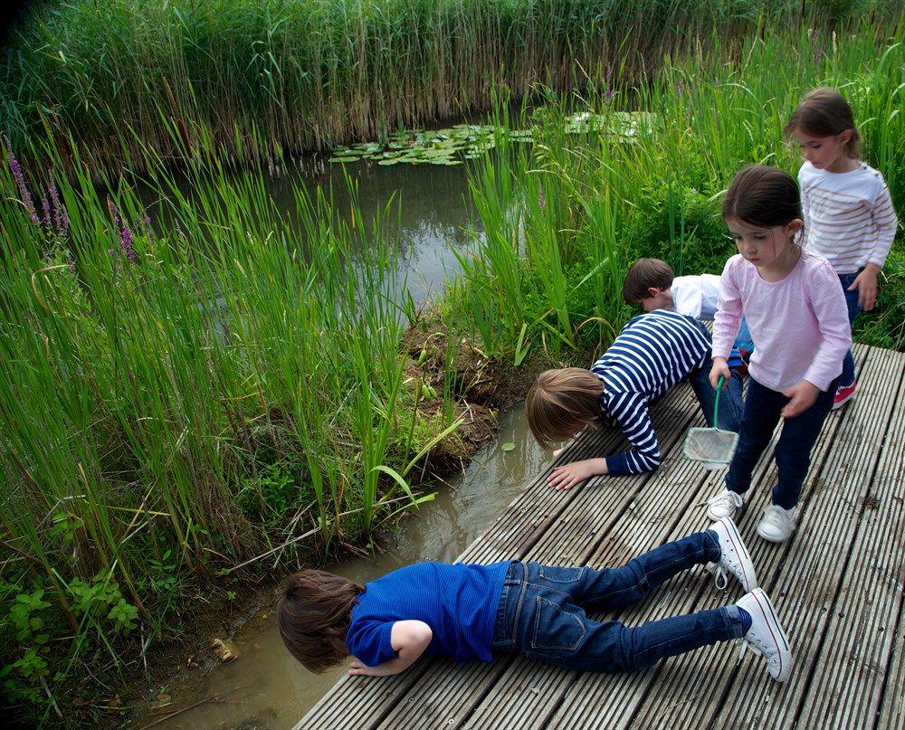 You also wished to have classes in this #awesome #outside #classroom <a href="/thelandtrust/">The Land Trust</a>: bit.ly/1fBaAJY