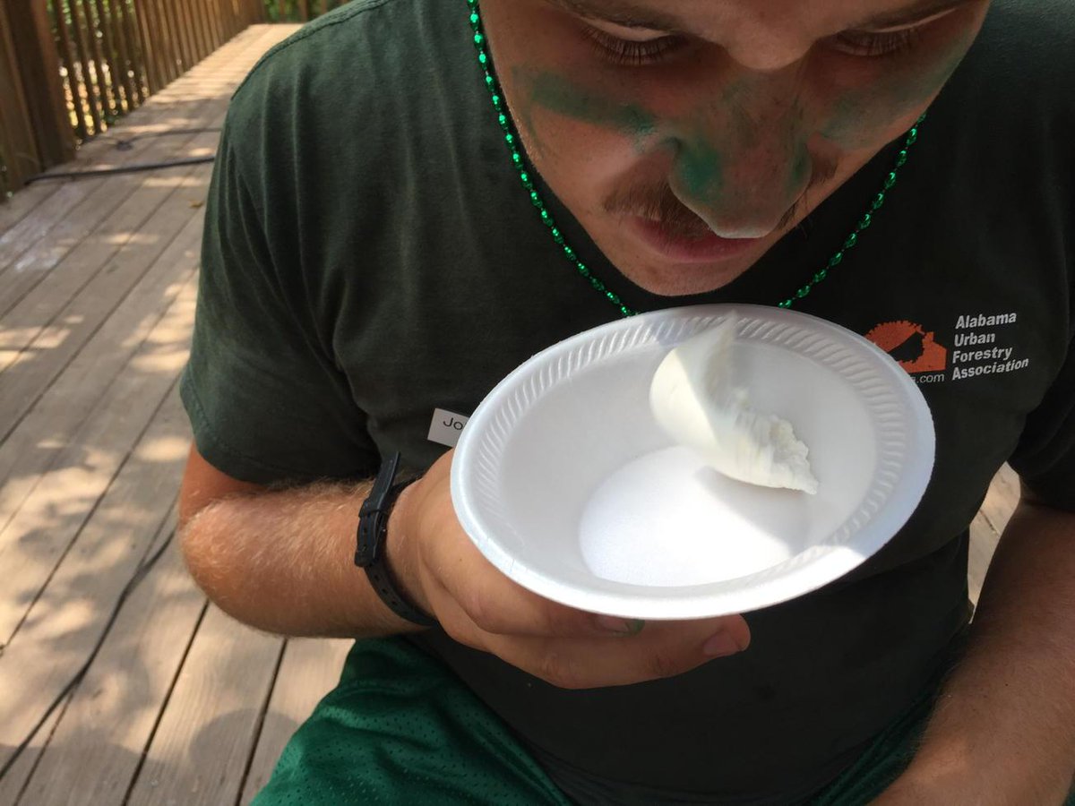 JonathanDHodge's tweet photo. Giant marshmallows filled with cheese at the @TatesCamp eating challenge #TatesCVW http://t.co/HwfUeeO4C6