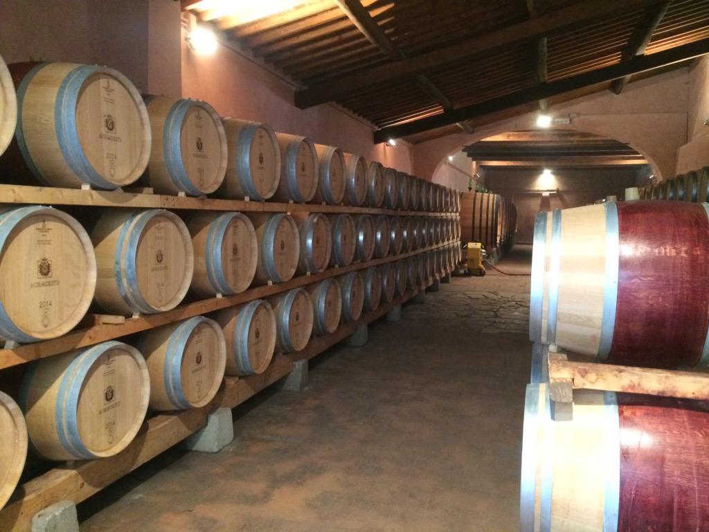 Picture postcard views from the <a href="/FrescobaldiVini/">Marchesi Frescobaldi</a> estate at Nipozzano today. <a href="/majesticwine/">Majestic Wine</a>