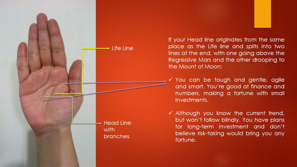 MohanAggarwaal's tweet photo. Know More about your 'Head Line' &amp; 'Life Line'
#PalmistrySecrtetsWithMohanAggarwaal http://t.co/aRT3bZdt6N
