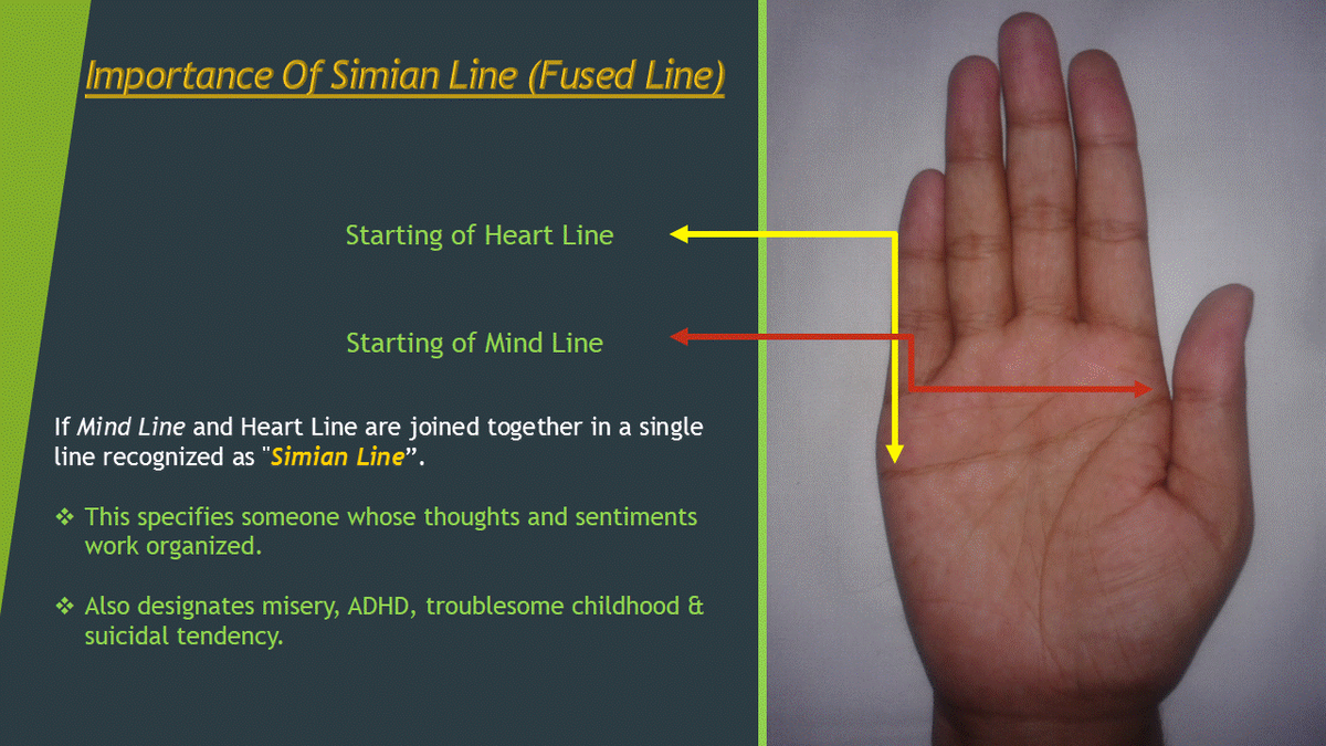 MohanAggarwaal's tweet photo. Get info about #SimianLine at your palm....
#PalmistrySecretswithMohanAggarwaal http://t.co/OMzeowkAib