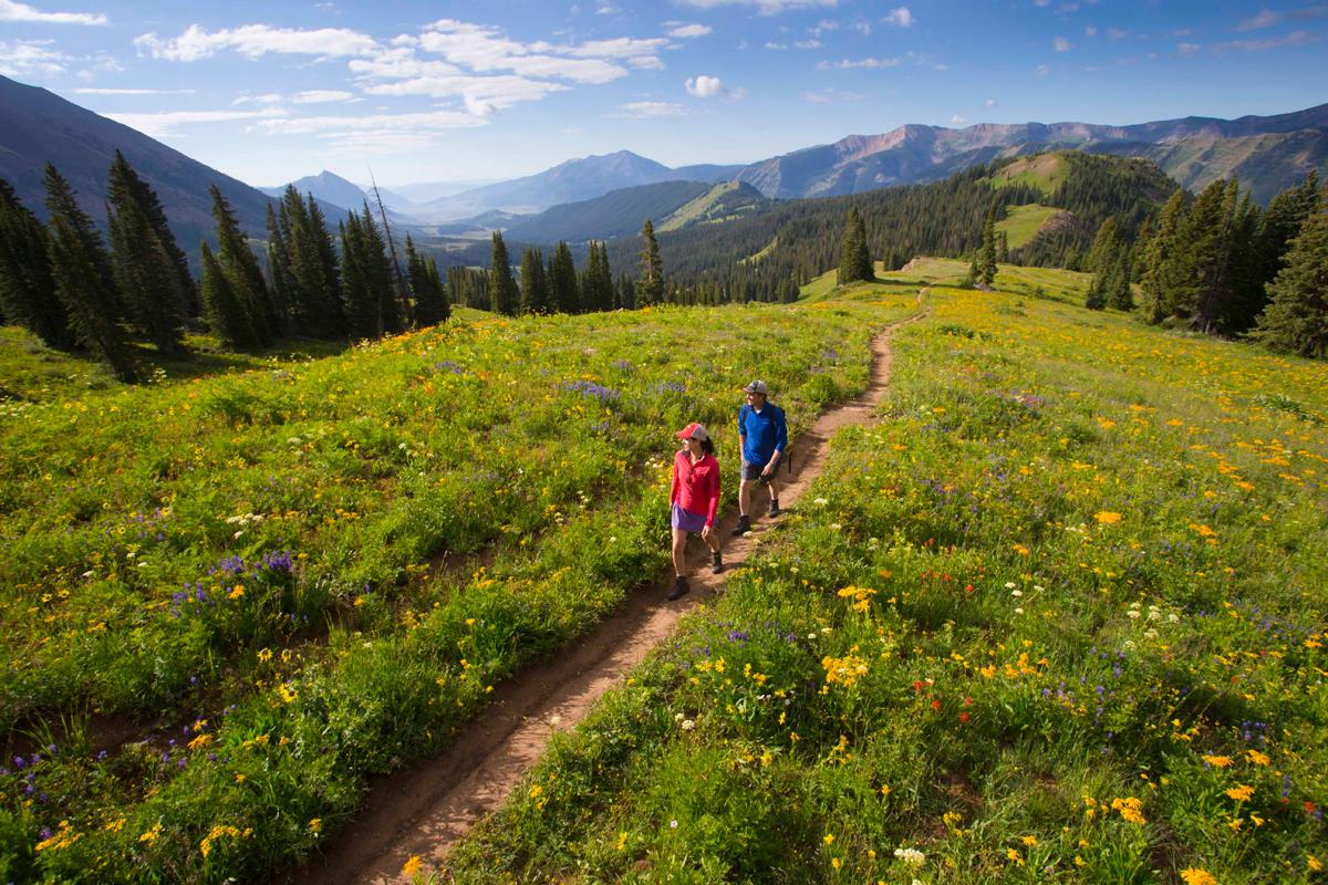 #CrestedButte #hike #mtb trail 403 #wildflowers buff.ly/1Lnyvc7 <a href="/averystonich/">averystonich</a> <a href="/RootsRated/">RootsRated</a>