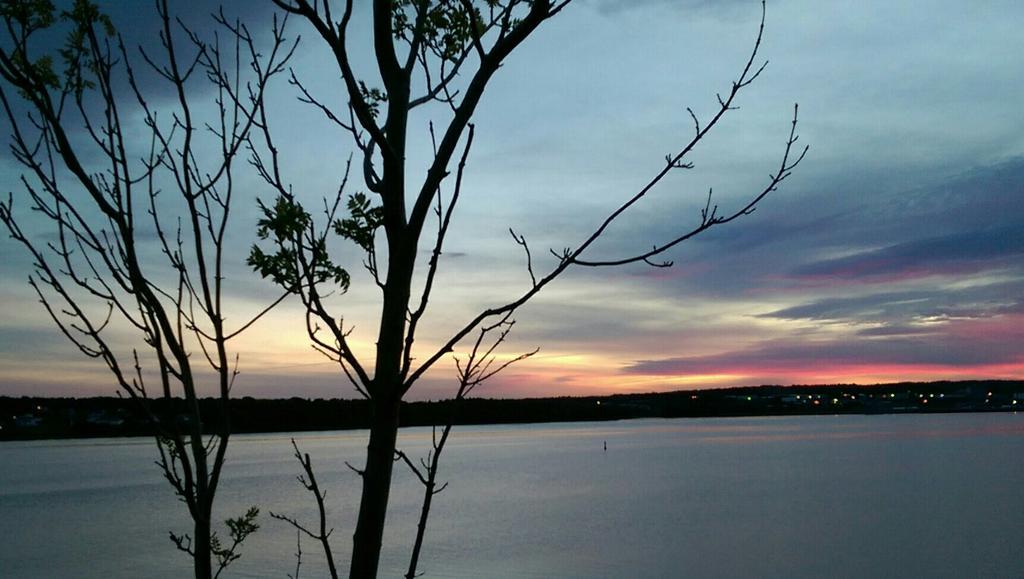 ArchieMacau's tweet image. Summer evening 2015