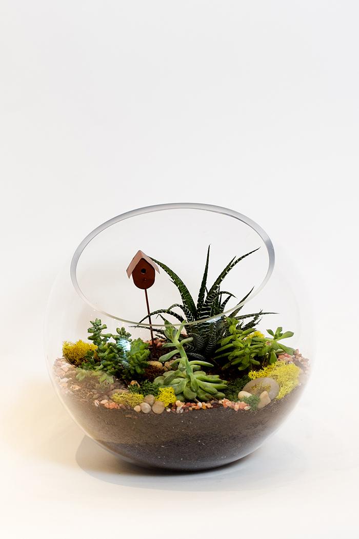 BloompopHQ's tweet photo. Wanted: tiny bird to live in tiny bird house in floral partner #thimbleberryhouse 's terrarium http://t.co/lISOMEQldk