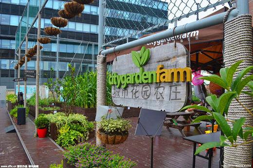 na2eastday's tweet photo. #Rooffarm appears in downtown #Shanghai #rabbits #piglets #gardenfarm #vegetables for more: http://t.co/ilrb8arNgI http://t.co/xkDqcxXz3q