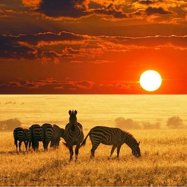kenyapics's tweet photo. #TheAfricaTheMediaNeverShowsYou  The spectacular no filter sunsets in Kenya. God does the job himself. http://t.co/dFXsDQk4EK