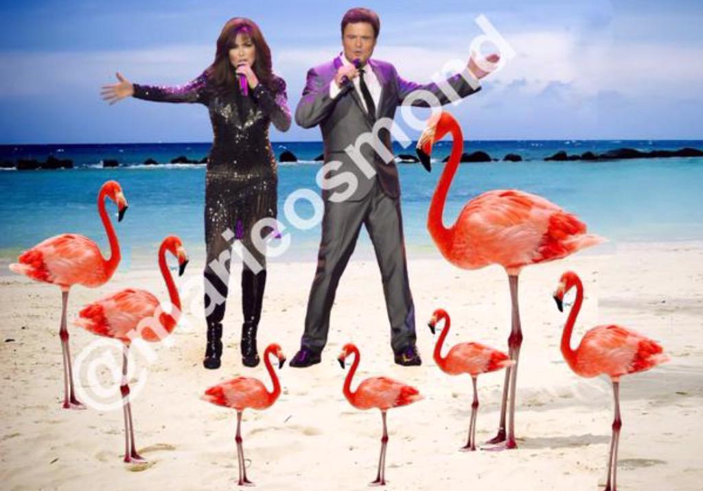 Marie Osmond tweet media