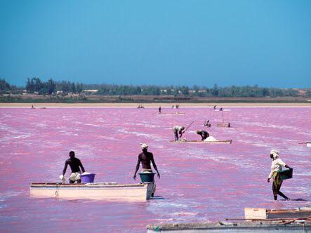 nyeusi_waasi's tweet photo. the Amazing pink lake in senegal  #TheAfricaTheMediaNeverShowsYou http://t.co/A2BDghfbMc