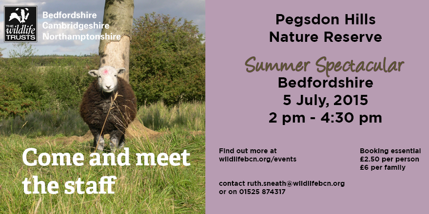 wildlifebcn's tweet photo. Coming up soon, our next Meet the Trust event in Beds, at Pegsdon Hills. See you there. http://t.co/sWFgK8u07L http://t.co/9QMtNvdq0M