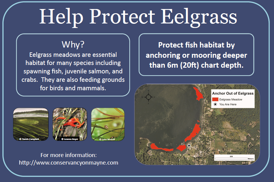 Attn #MayneIsland Boaters! These signs at all 7 marine access points - "Anchor Out for Eelgrass"