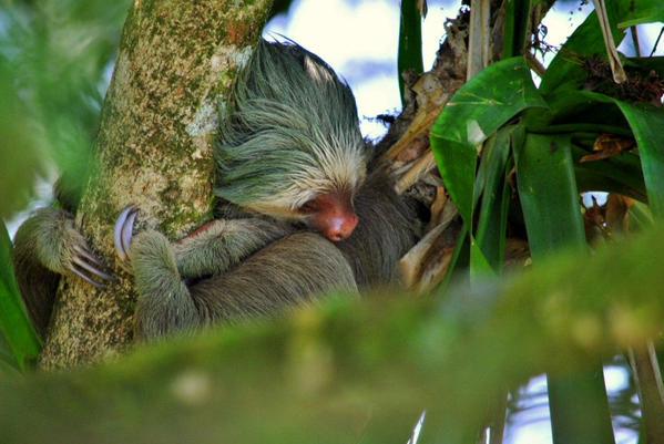 BackpackAus's tweet image. Top bloggers talk sustainable travel #sustainable #travel #ttot
dld.bz/dHFDz